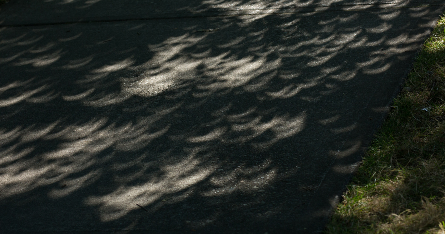 Total solar eclipse at Willamette University